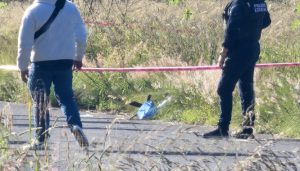 536611695 1355747763219591 2380216837090615768 n 1