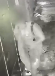 Captura de pantalla 2025 08 09 221313