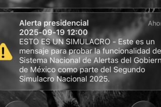 como-funciono-la-nueva-alerta-sismica-que-sono-en-todos-los-telefonos